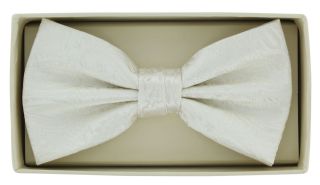 Ivory Tonal Paisley Bow Tie