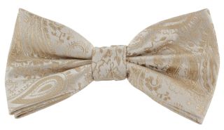 Taupe Tonal Paisley Bow Tie