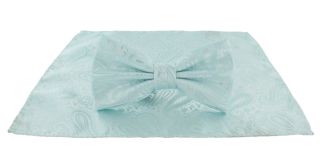 Mint Tonal Paisley Bow Tie & Pocket Square Set