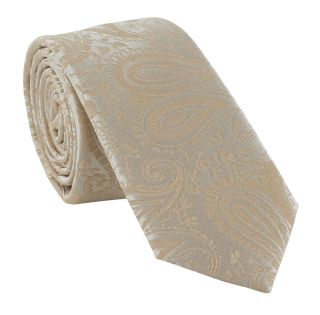 Boys Taupe Tonal Paisley Tie & Pocket Square Set